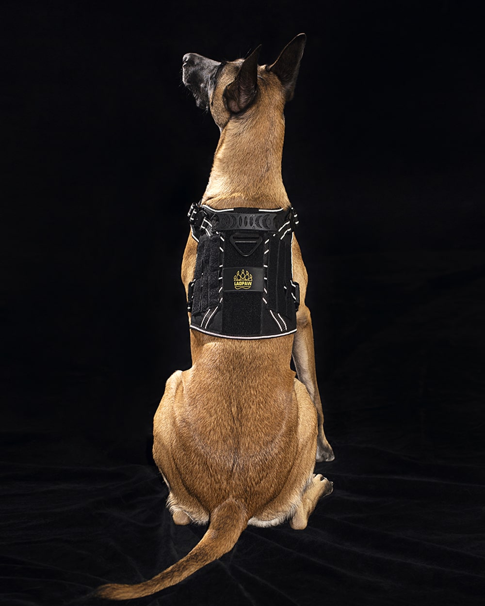 tactical dog harness with reflective straps