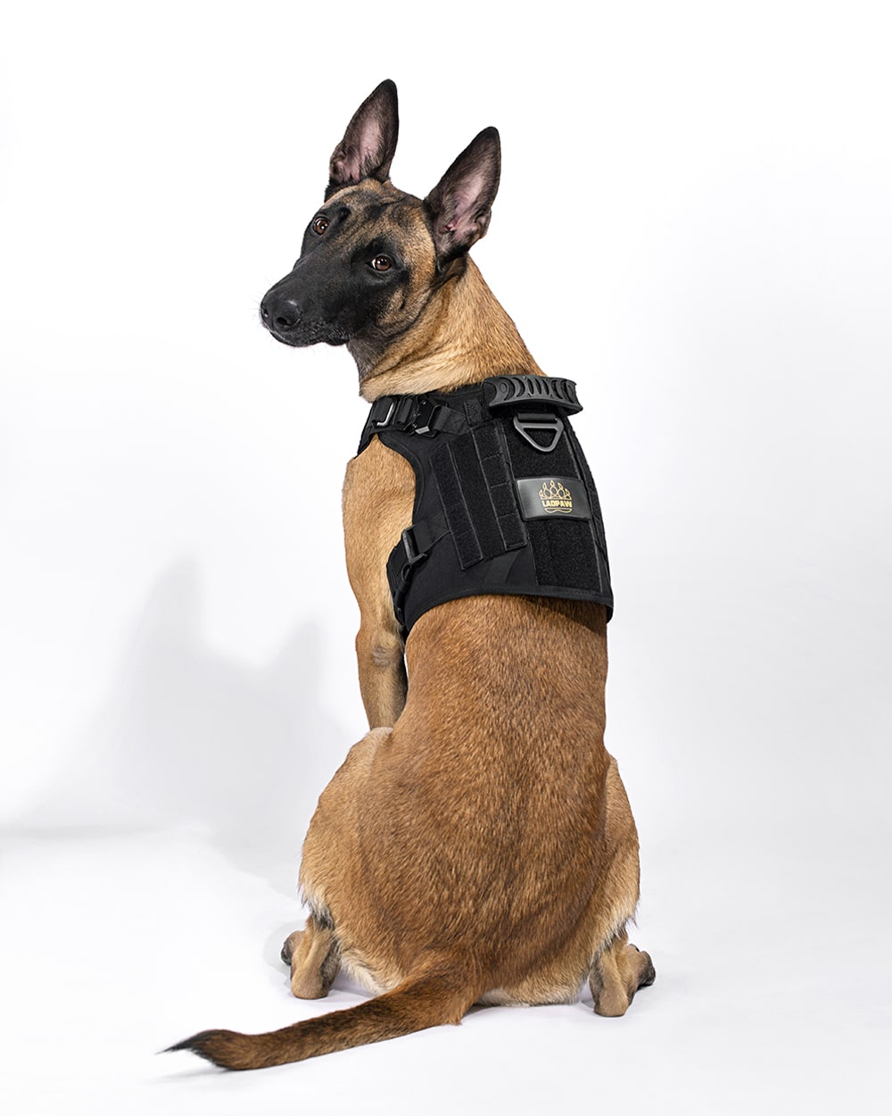 Nylon Strap Dog Harness Velcro Patches Pet Guide Assistance Service vest  Pitbull